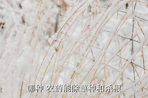 哪種 農藥能除草種和殺根