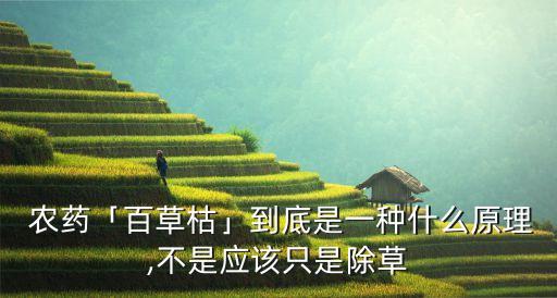 百草菇農(nóng)藥什么成分,喝百草菇農(nóng)藥多久能死
