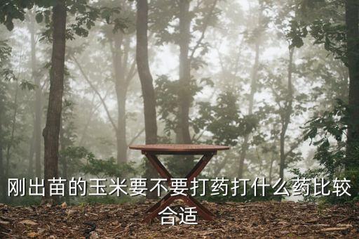 小苗打什么農藥才長得快,蘿卜小苗打什么農藥