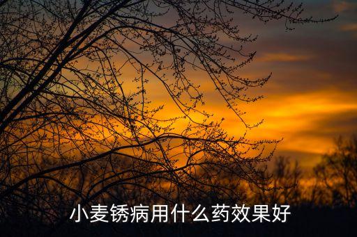治疫病用什么藥效果最好,小麥治什么疫病最好的農藥