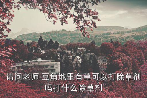 請問老師 豆角地里有草可以打除草劑嗎打什么除草劑