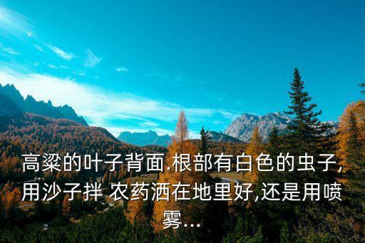 高梁生蟲打什么農藥,高梁蟲用什么藥效果好
