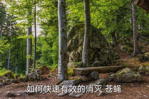 小蒼蠅用什么農藥,什么農藥能大量殺死蒼蠅