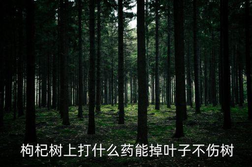  枸杞樹上打什么藥能掉葉子不傷樹