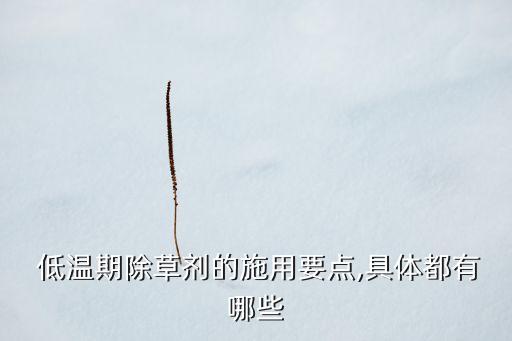  低溫期除草劑的施用要點(diǎn),具體都有哪些