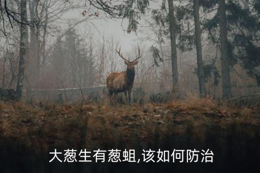 大蔥生有蔥蛆,該如何防治