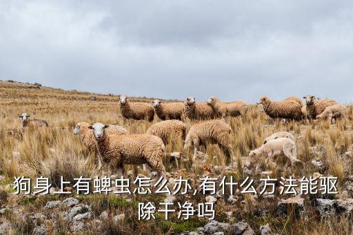 蝸牛用什么農藥可以殺死,什么農藥能殺死狗蜱蟲