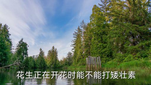 花生打什么農(nóng)藥結(jié)果多,花生用什么農(nóng)藥殺蟲(chóng)