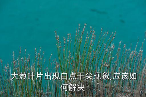 大蔥有白斑打什么農藥