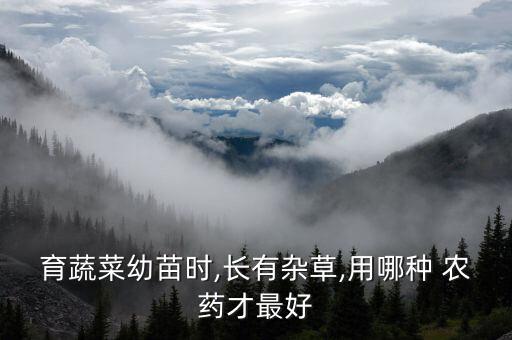 田里打草仔的農藥用什么,打草用什么農藥好