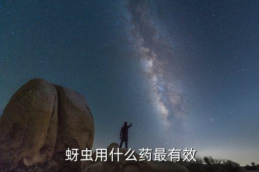 蚜蟲用什么藥最有效
