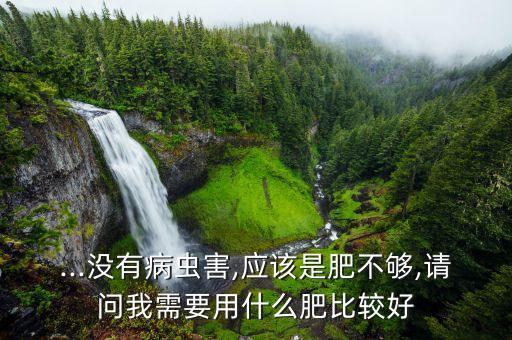 ...沒有病蟲害,應該是肥不夠,請問我需要用什么肥比較好