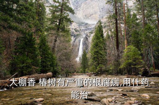 什么農藥能殺死椿樹
