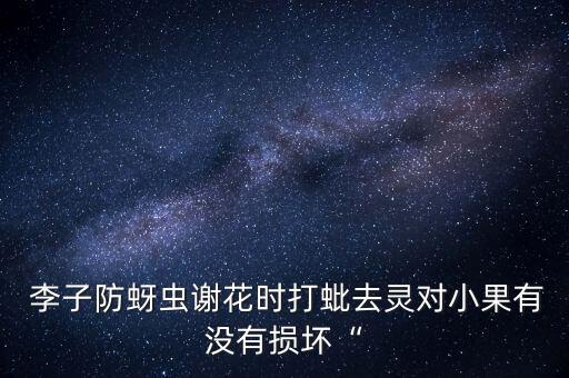  李子防蚜蟲(chóng)謝花時(shí)打蚍去靈對(duì)小果有沒(méi)有損壞“