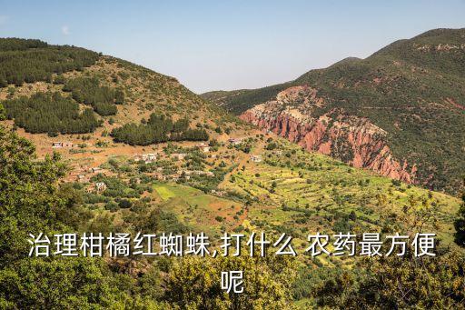 治理柑橘紅蜘蛛,打什么 農(nóng)藥最方便呢