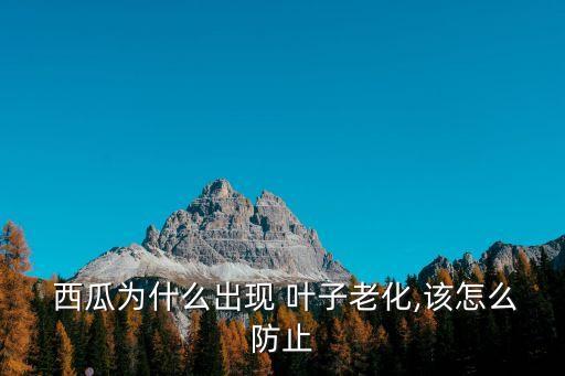 西瓜葉子發黃打什么農藥,西瓜根部葉子發黃枯萎怎么治