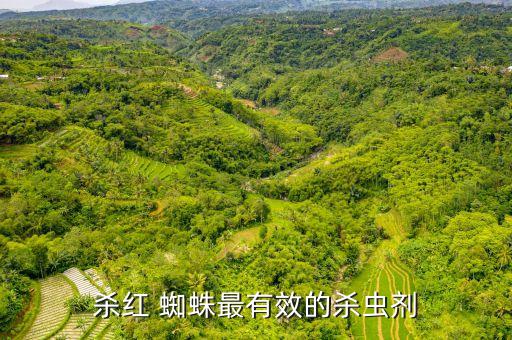 什么農藥殺蜘蛛,農藥對蜘蛛的影響