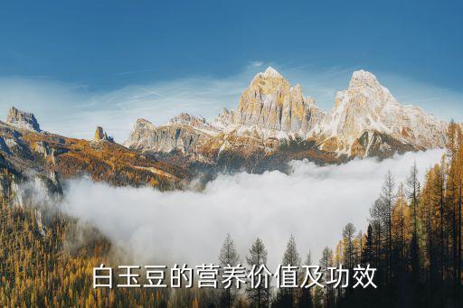  白玉豆的營養價值及功效
