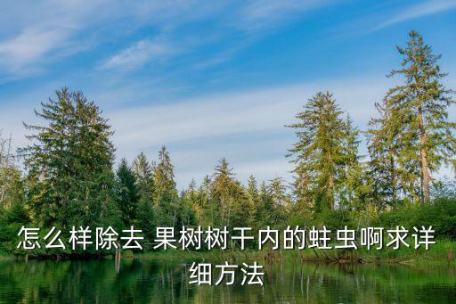 怎么樣除去 果樹樹干內的蛀蟲啊求詳細方法