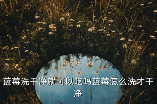 藍莓洗干凈就可以吃嗎藍莓怎么洗才干凈