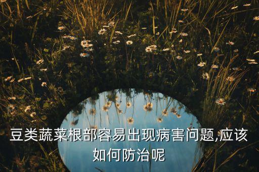 豆類蔬菜根部容易出現病害問題,應該如何防治呢