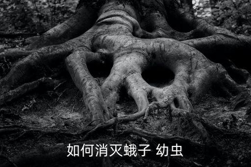 去幼蟲用什么農藥,有什么方法可以去農藥味