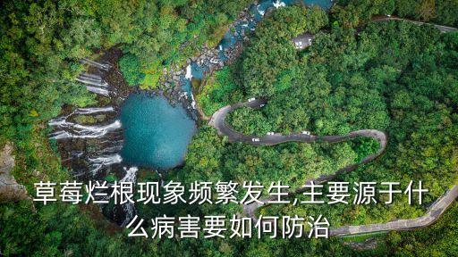 什么農藥治草莓根腐病蟲,草莓用什么農藥最好