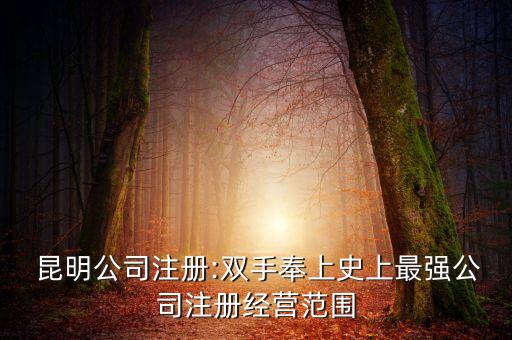  昆明公司注冊:雙手奉上史上最強(qiáng)公司注冊經(jīng)營范圍