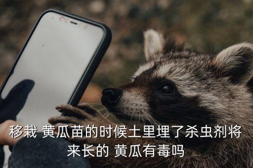 黃瓜地連種澆什么農藥