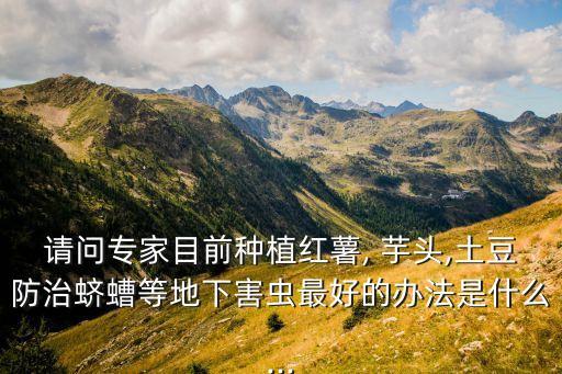 請(qǐng)問(wèn)專家目前種植紅薯, 芋頭,土豆防治蠐螬等地下害蟲(chóng)最好的辦法是什么...