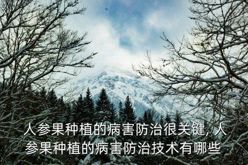 人參用什么農藥最好,人參和什么搭配效果最好