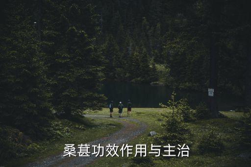 桑葚功效作用與主治