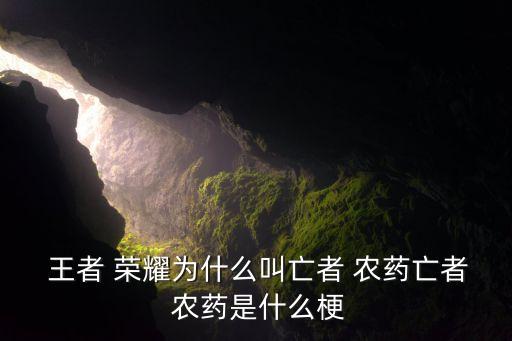  王者 榮耀為什么叫亡者 農藥亡者 農藥是什么梗