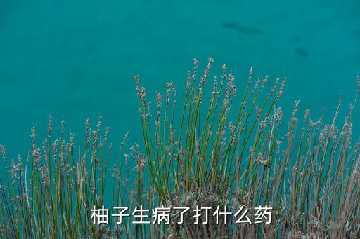  柚子生病了打什么藥