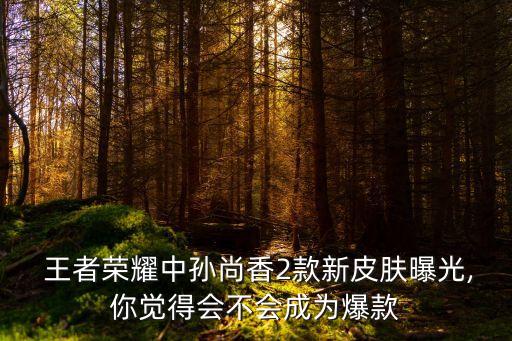  王者榮耀中孫尚香2款新皮膚曝光,你覺得會不會成為爆款