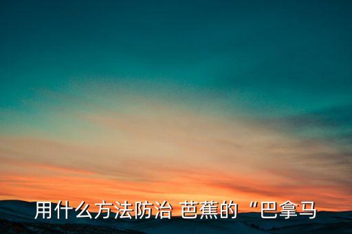 什么農(nóng)藥可殺死芭蕉樹木,殺死芭蕉樹的最好最快的農(nóng)藥