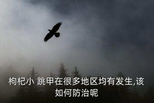枸杞小 跳甲在很多地區(qū)均有發(fā)生,該如何防治呢