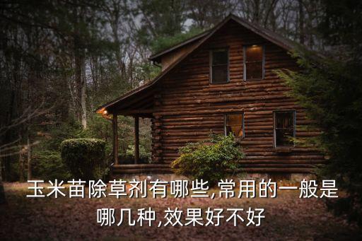 什么農(nóng)藥不能種玉米樹(shù)苗,玉米一般打什么農(nóng)藥