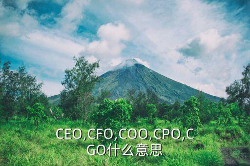 農藥cpo是什么意思,農藥有效成分含量是什么意思