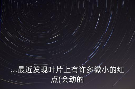 脆紅點用什么農藥,噴什么農藥可以殺死紅蟻