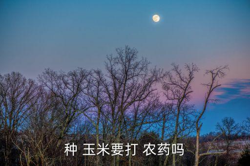 玉米后期需打什么農(nóng)藥,玉米生長后期用什么肥