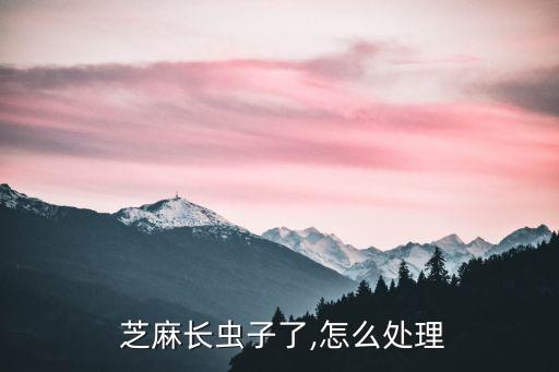  芝麻長蟲子了,怎么處理