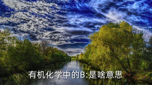 有機化學中的B:是啥意思