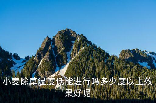 小麥除草溫度低能進(jìn)行嗎多少度以上效果好呢