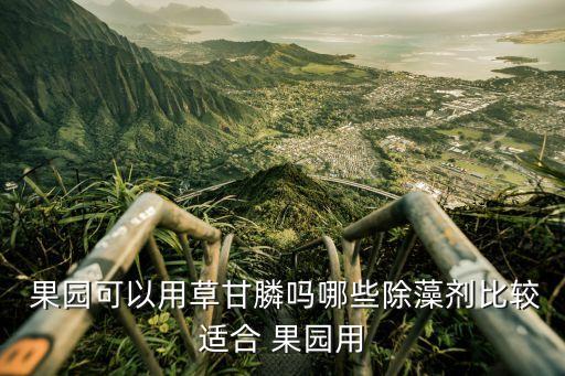  果園可以用草甘膦嗎哪些除藻劑比較適合 果園用