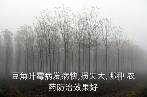 豆角葉霉病發(fā)病快,損失大,哪種 農(nóng)藥防治效果好