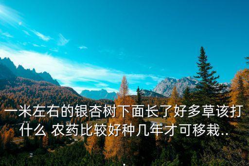 什么樹打農藥最有效果,打樹用什么農藥