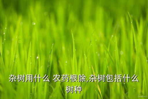 綠化工往樹上打什么農藥