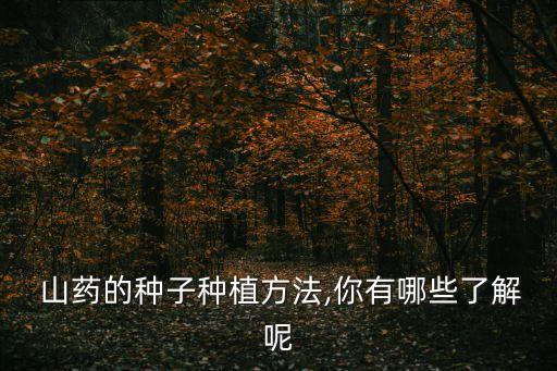  山藥的種子種植方法,你有哪些了解呢