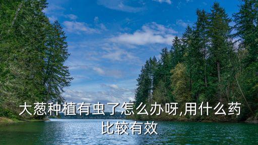  大蔥種植有蟲了怎么辦呀,用什么藥比較有效